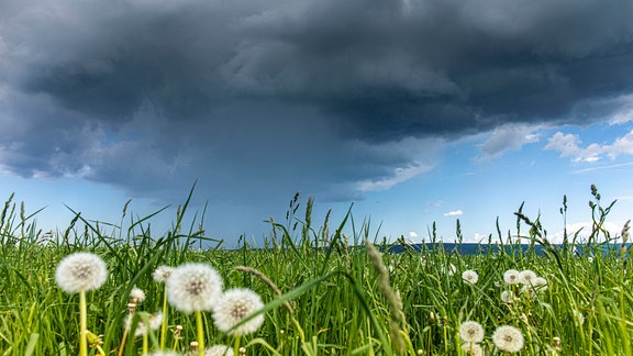 Dicke Wolken ziehen über einen Berg hinweg und kündigen ein Gewitter an am 2.6.2019