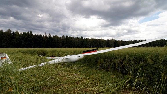 Ein Segelflieger liegt in einem Feld.