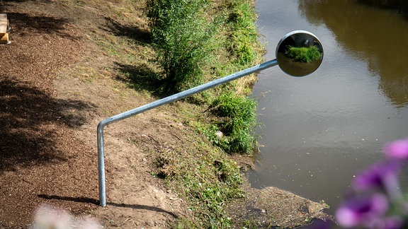 Man sieht einen überdimensionalen Motorradaußenspiegel, der über einen Fluss ragt. Im Hintergrund sind Bäume.