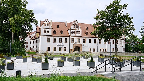 Pflanzenkübel auf einem Platz vor einem Gebäude