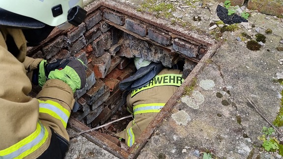 Ein Storch wird von Einsatzkräften der Feuerwehr gerettet.