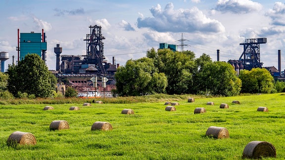 Eine Grüne Wiese mit Strohballen, im Hintergrund Industriegebäude.