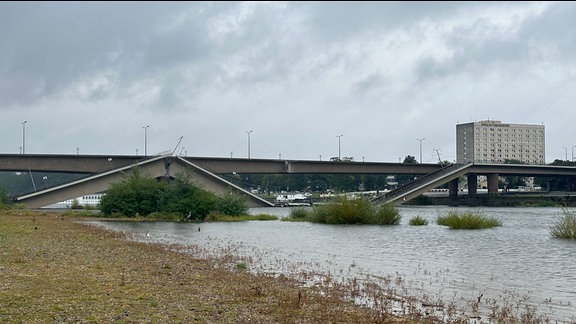 Abriss der Carolabrücke in Dresden