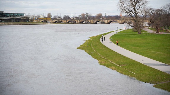 Hochwasser an der Elbe in Dresden. 