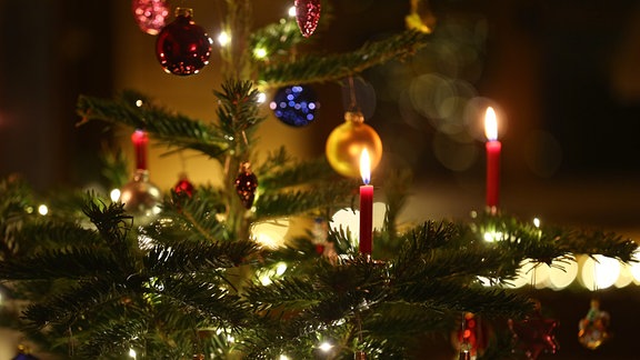 Kerzen brennen in einem Wohnzimmer an einem geschmückten Christbaum.