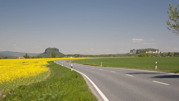 Eine Bundesstraße verläuft entlang eines Rapsfeldes. Im Hintergrund ein Sandsteinfelsen.