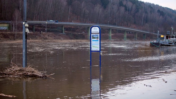 Bushaltestellenschild im Wasser