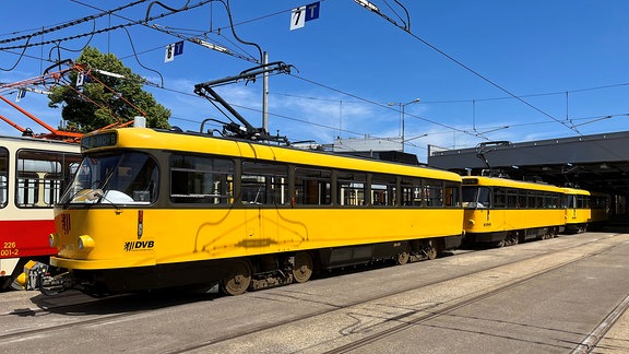 Strassenbahn der Baureihe Tatra.