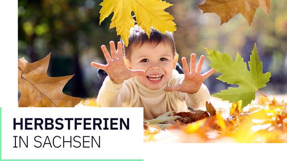 Teaser Herbstferien in Sachsen