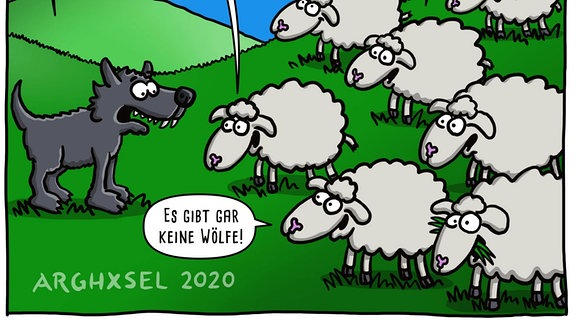 Ein Cartoon-Wolf bedroht einen Schafsherde.