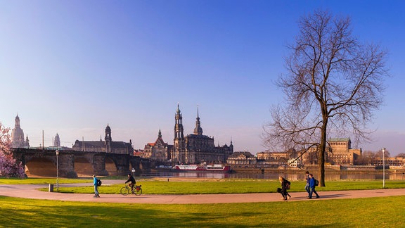 Das Königsufer in Dresden.