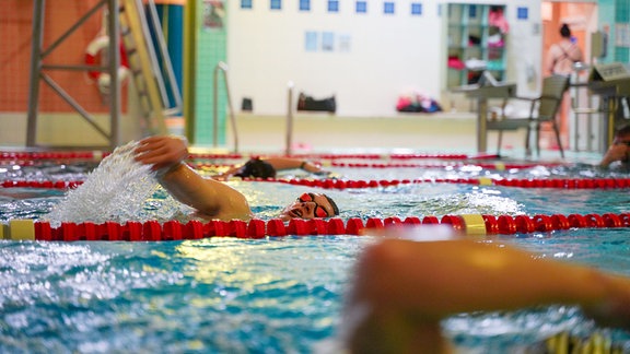 Mehrere Menschen kraulen in einem Schwimmbecken auf Bahnen nebeneinander.