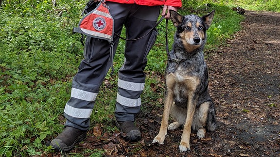 Ein Mann mit Rettungshund lächelt in die Kamera. 