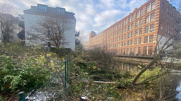 Blick auf ein leeren Grundstück an einem Flußlauf in urbaner Umgebung 