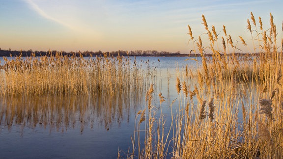 Sonnenuntergang an der Schladitzer Bucht bei Leipzig, 2016