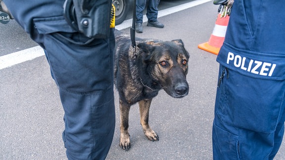 Großkontrolle der Polizei