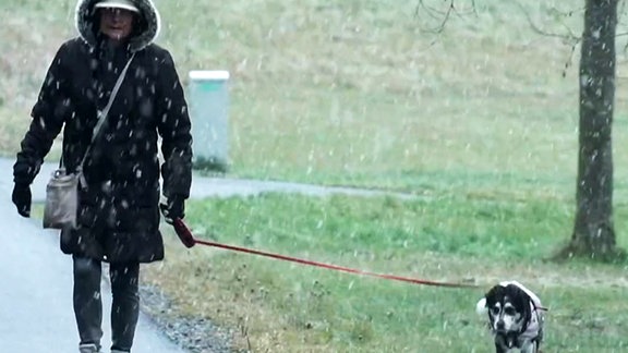 Eine Frau führt einen Hund bei Schneetreiben spazieren.