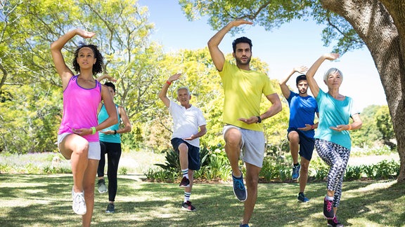 Mehrere Leute in einem Park machen zusammen gymnastische Übungen.