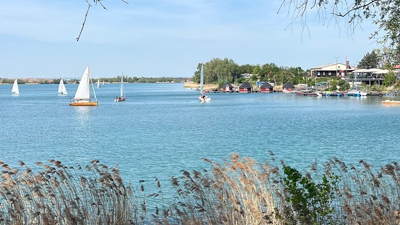 Segelboote auf dem Alperstedter See.