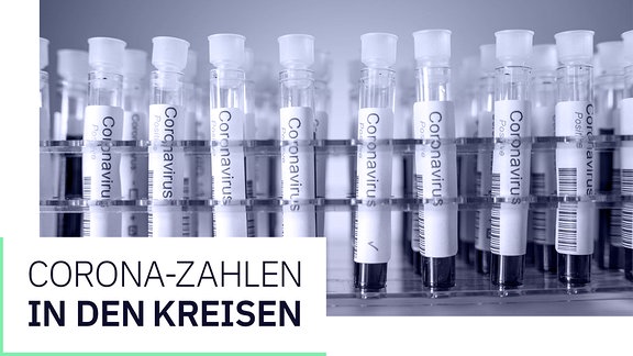 Corona-Zahlen und Grafiken Thüringen Kreise Corona Virus Tests in einem Behältnis 