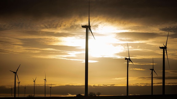 Windräder im Gegenlicht.