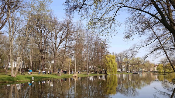 Bäume spiegeln sich im Wasser.