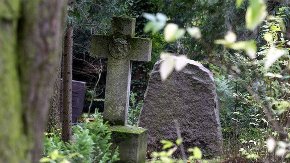 Grabsteine stehen unter Bäumen auf einem Friedhof.