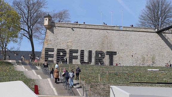 Bunte Frühlingsblumen blühen auf dem Petersberg vor dem Schriftzug "ERFURT"