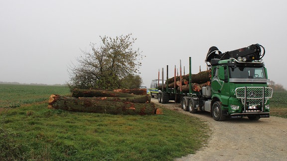 Ein Holztransporter nach einer Verfolgsungsjagd bei Holzthaleben