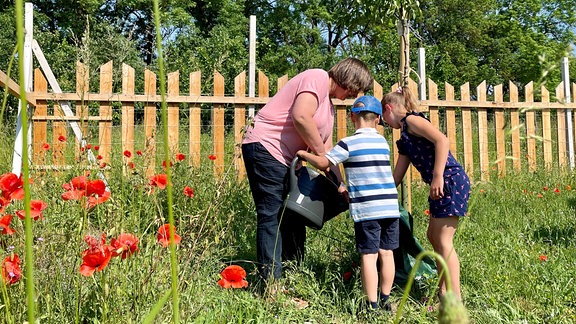 Kinder gießen mit ihrer Lehrerin eine Wiese.