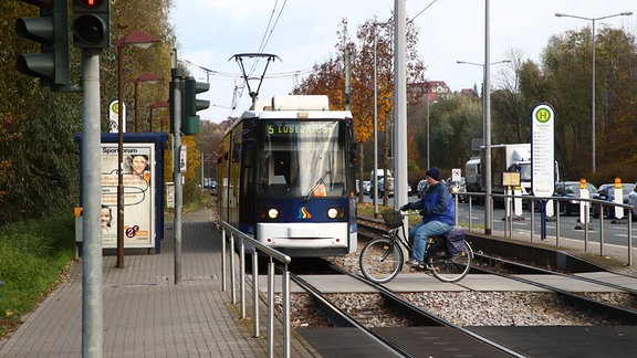 Die Straßenbahnhaltestele "Am Sportforum".