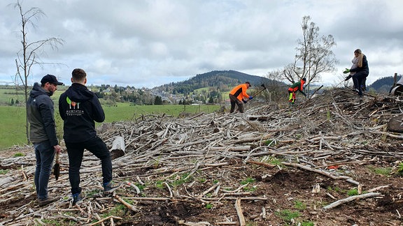 Die Baumpaten helfen besonders beim Aufforsten auf privaten Waldflächen