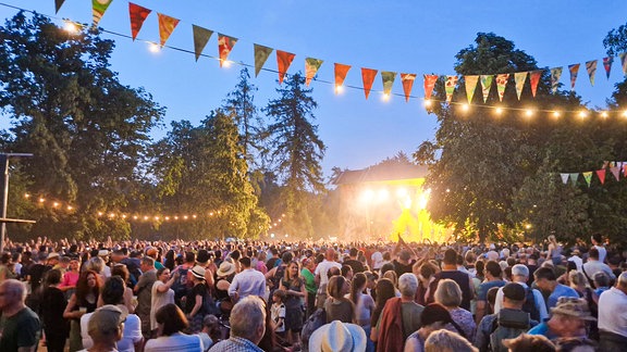 Besucher und Musiker auf dem Rudolstadt-Festival