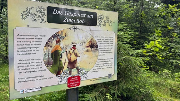 Infotafel in einem Wald