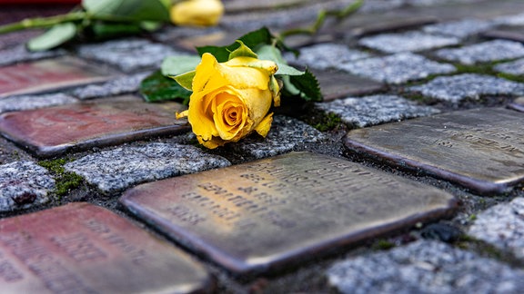 Blumen liegen auf Stolpersteinen, die auf einem Bürgersteig an Juden erinnern, die zur NS-Zeit deportiert wurden