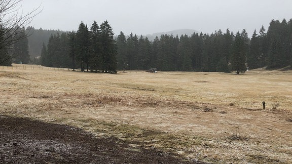 Eine Wiese in Südthüringen.