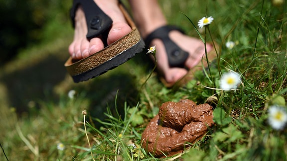 Eine Fuß schwebt in einer gestellten Szene über einem Haufen Plastikhundekot.