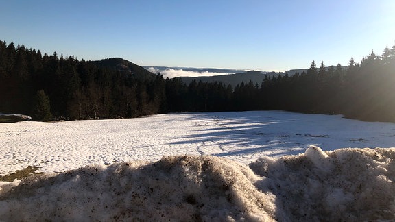 Ein Blick über den Thüringer Wald