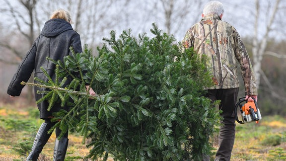 Zwei Personen gehen mit einem Weihnachtsbaum im Wald.