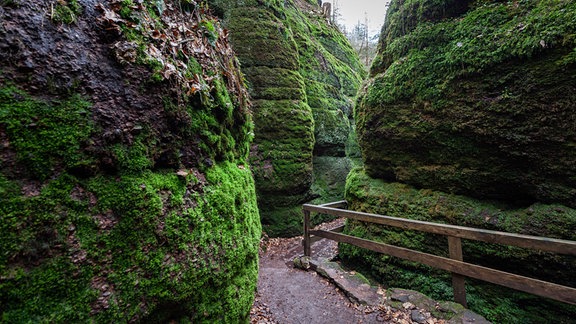 Ein Weg schlängelt sich durch die steilen, Moos-bewachsenen Felswände der Drachenschlucht bei Eisenach, einem viel besuchten Ausflugsziel in Thüringen