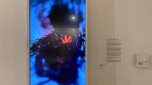 Ein Bildschirm hängt an einer weißen Ausstellungswand, darauf ist ein Bild dargestellt, ein diffuser Hintergrund und ein rotes Blatt