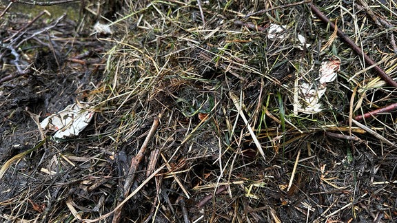 ein zerstörtes Storchennest mit Eierschalen liegt auf der Straße