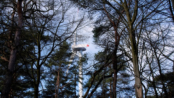 Windkraftanlage in einem Waldgebiet. Der obere Teil der Anlage ist durch Baumkronen hindurch zu sehen. 