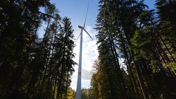 Die Sonne lässt 2021 das verfärbte Herbstlaub rund um ein Windrad aufleuchten.