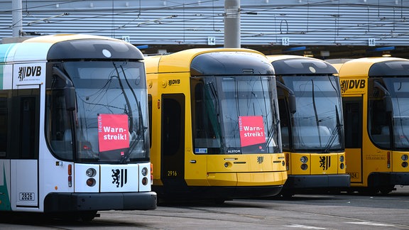 Straßenbahnen der Dresdner Verkehrsbetriebe stehen mit Warnstreik-Plakaten beklebt im Betriebshof