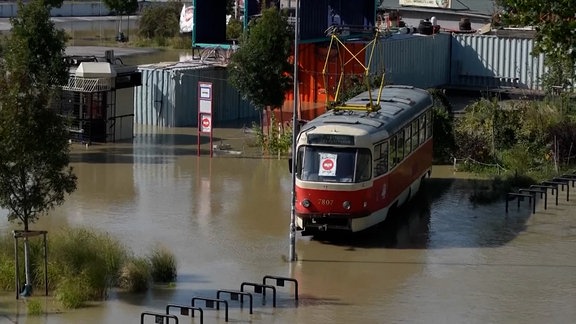 Eine Tatra Straßenbahn steht in braunem Wasser