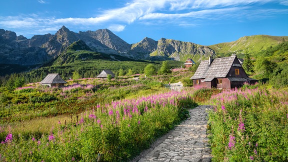 Gebirgspanorama bei Zakopane