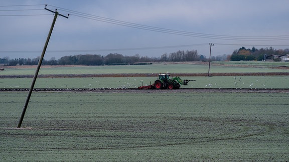 Traktor auf einem Feld