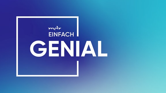 Logo "Einfach genial"