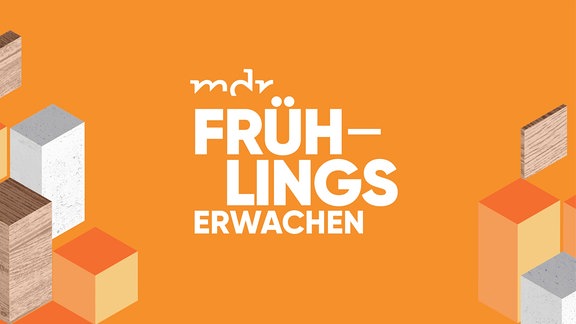 Weiße Schrift auf orangenem Hintergrund "Fühlingswerwachen"